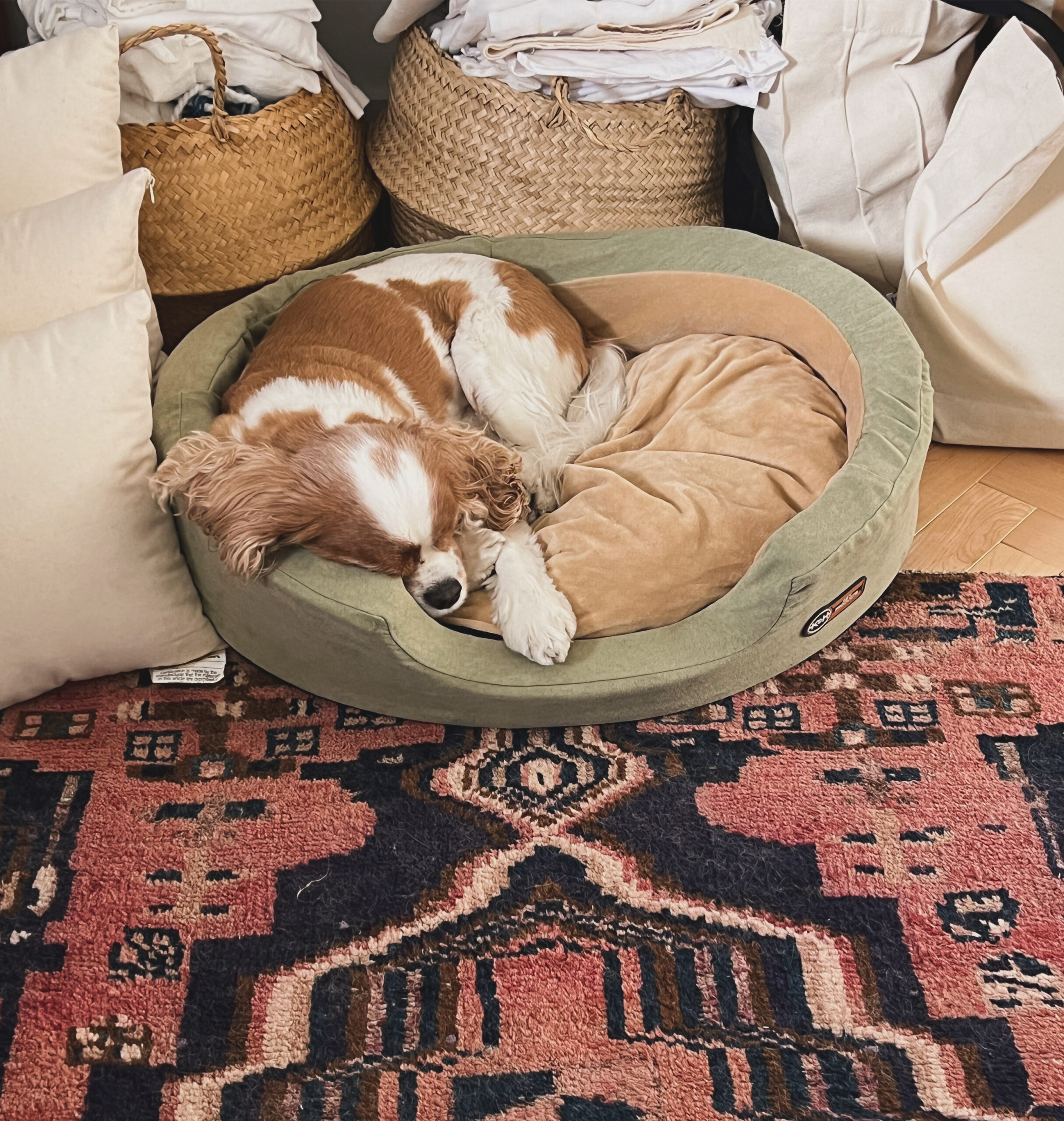 0A5113F8-F8F1-428B-AF6B-4BF894DE7613