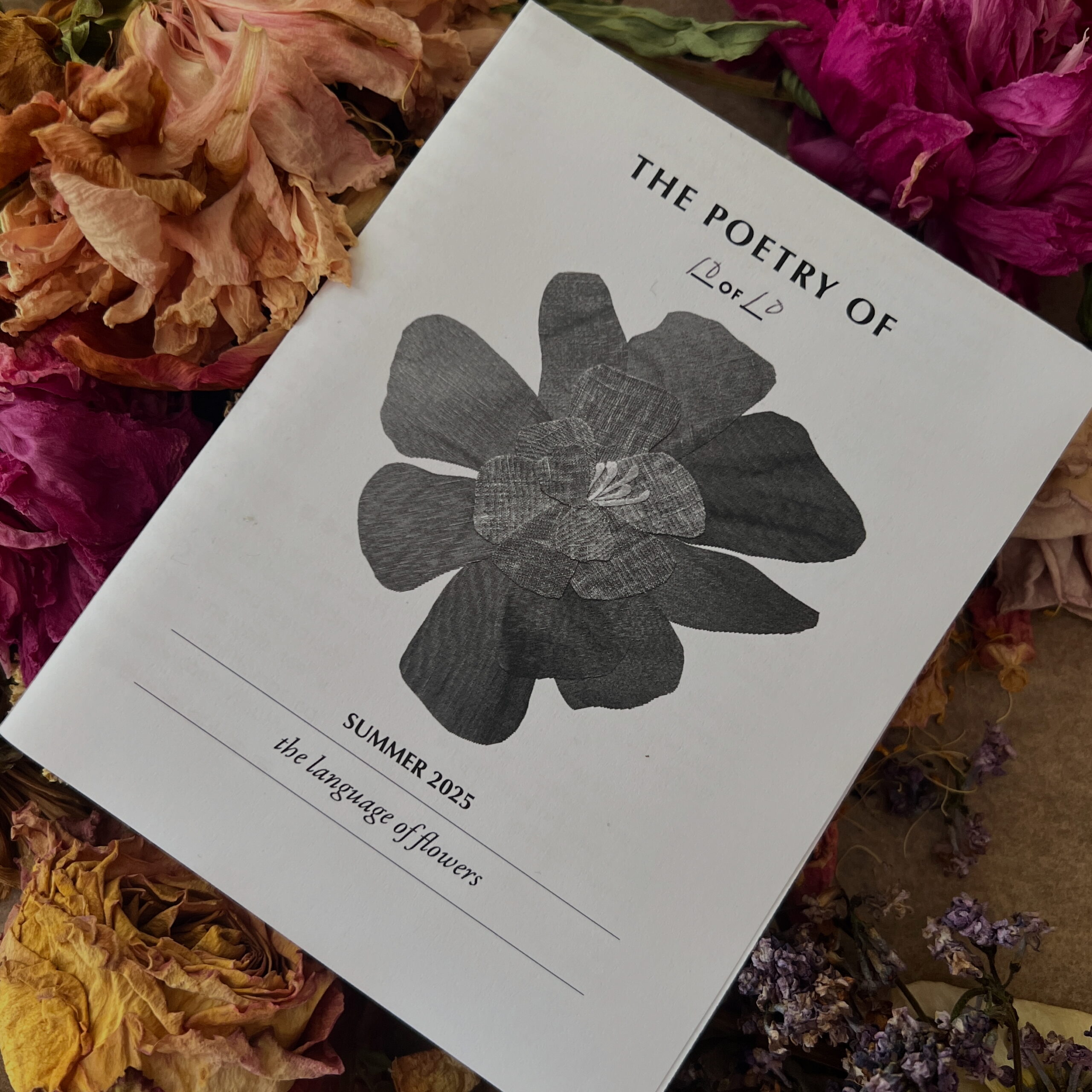 6202A73B-2FF5-4BCA-BCAF-57CAACD6E9EE